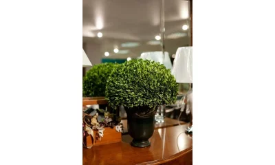 Цветы Uttermost Preserved Boxwood 60092