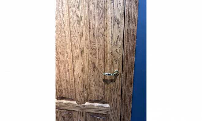 Дверь Астродорс Софи СОФИ