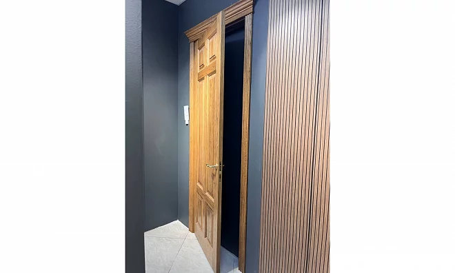 Дверь Астродорс Софи СОФИ